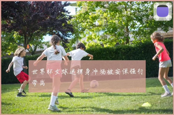 世界杯女球迷裸身冲场被安保强行带离