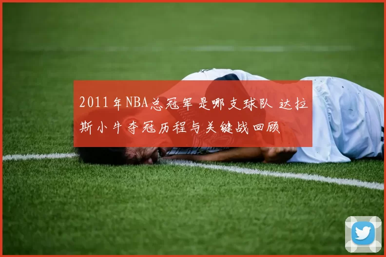 2011年NBA总冠军是哪支球队 达拉斯小牛夺冠历程与关键战回顾