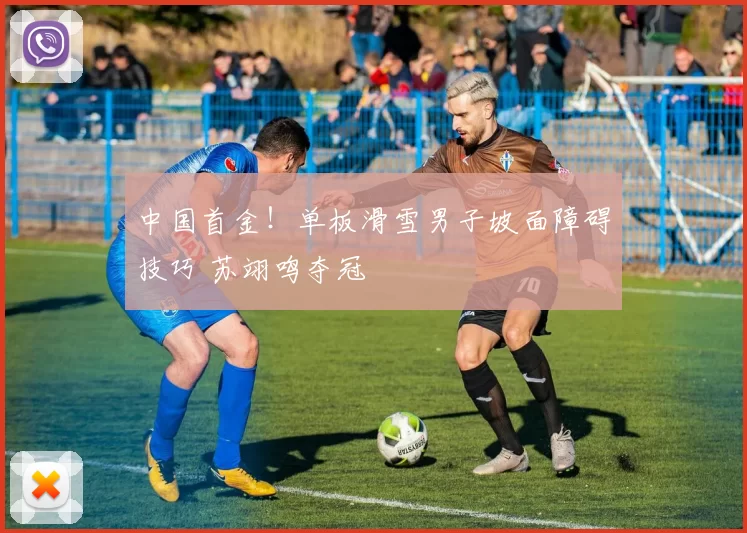 中国首金！单板滑雪男子坡面障碍技巧 苏翊鸣夺冠