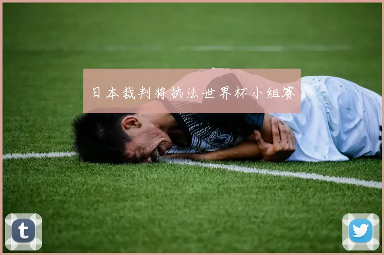 日本裁判将执法世界杯小组赛