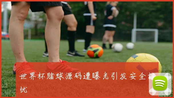 世界杯赌球源码遭曝光引发安全担忧