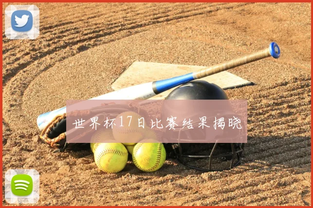 世界杯17日比赛结果揭晓